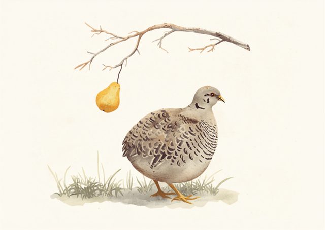 Painterly illustration of a grey partridge beneath a pear tree